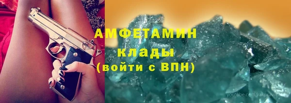 прущие грибы Балахна