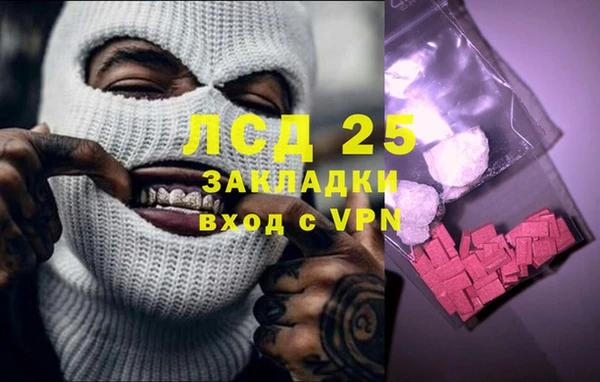 прущие грибы Балахна