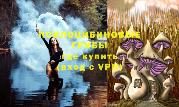 прущие грибы Балахна