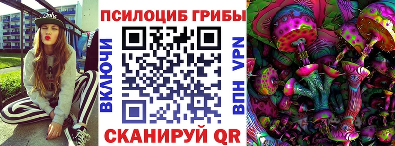 Галлюциногенные грибы Psilocybe  площадка наркотические препараты  Вятские Поляны 